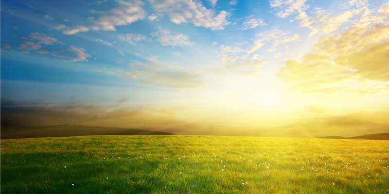 positive attitude, positive thinking, positive view, positive attitude in life, how to develop a positive attitude, importance of a positive attitude, good attitude, positivity, Frank Sonnenberg