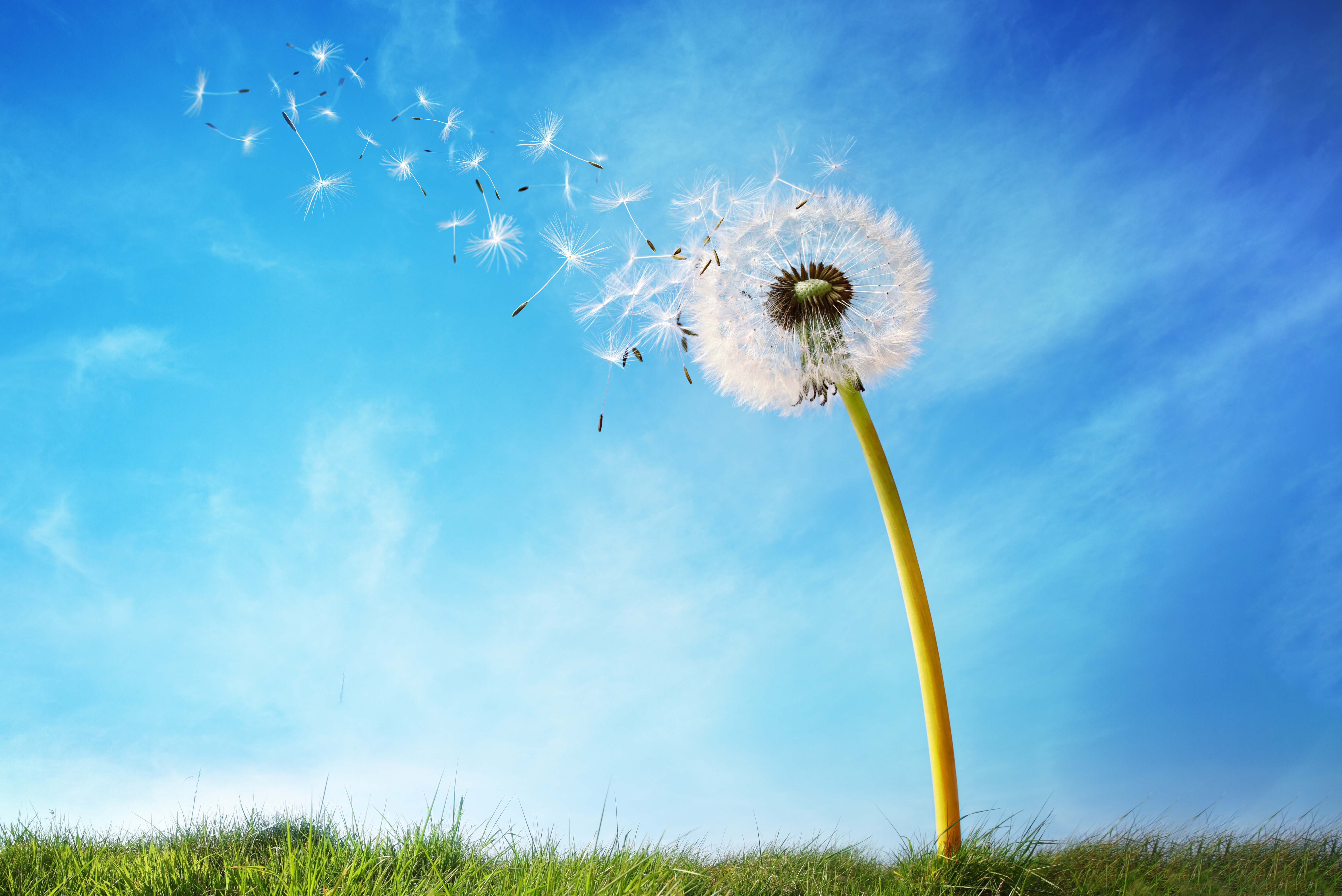 who would you trade places with, is the grass greener, wealth vs. personal fulfillment, what makes life meaningful, true meaning of success, pursuit of happiness, define your success, inner fulfillment, success with purpose, success from within, Frank Sonnenberg